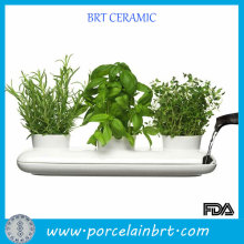 New design trio herb ceramic flower pot