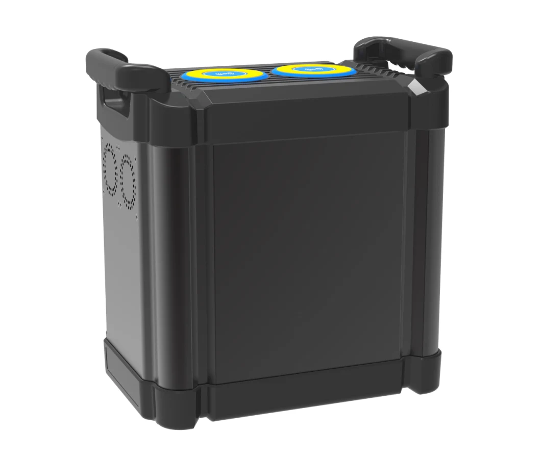 Customized LFP Lithium Battery