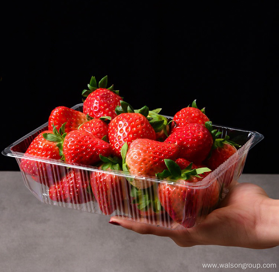 Ventilated Plastic Fresh Blueberry Fruit Container