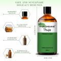 Aceite esencial de thuja 100%puro para la aromaterapia para el cuidado de la piel nutrición