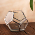 Kleine Luftpflanzenhalter Display Box Sukkulenten Moos Blumentopf Container Geometrisches Glas Terrarium