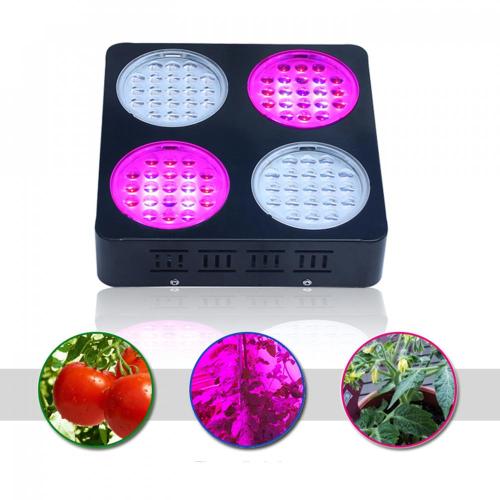 Vegetable Growing LED Grow Light