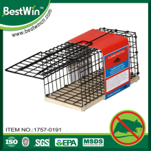 professional adhesive factory hard trapping a rat