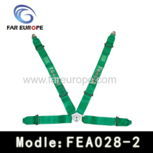 Racing Car Seat Belt?