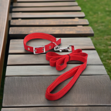 Dog Control Double Padded Nylon Webbing Personalized