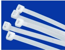 Stainless Steel Metal Pawl Nylon Cable Ties