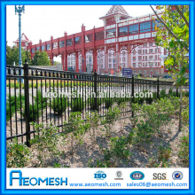 decorative vegetables used garden border fence