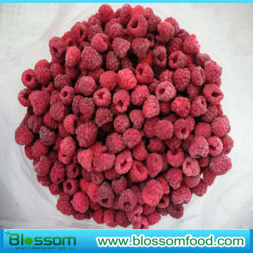 Frozen Raspberry
