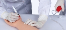 Arm Model for Artery & Vein Training