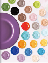 Stoneware Plate Dish Mutil Color