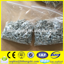 common nails, collated nails, roofing nails