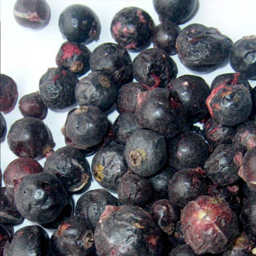 Freeze Dried Blackcurrant Whole