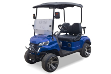 Premium D-Type Dual Seat Golf Vehicle
