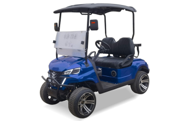 Premium D-Type Dual Seat Golf Vehicle