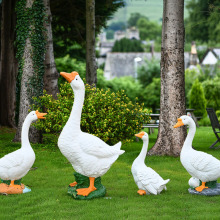 Wholesale decoration life size resin goose for home or park