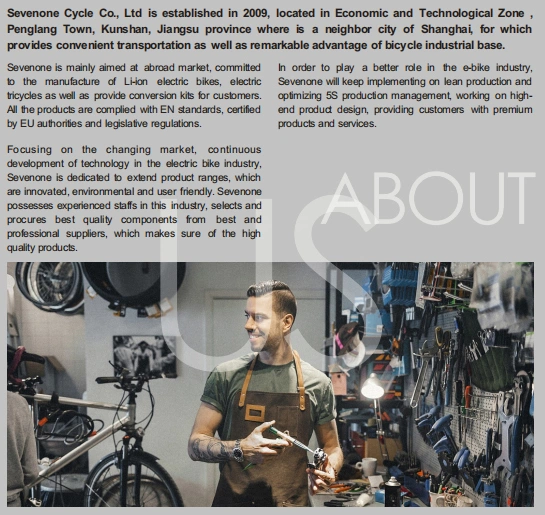 Mountain Electric Bicycle with Internal Double Lithium Battery