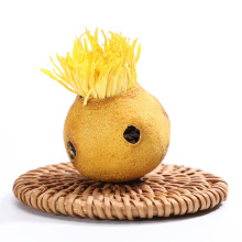 Hot Sales Natural Organic Slimming Healthy lemon Red Tea