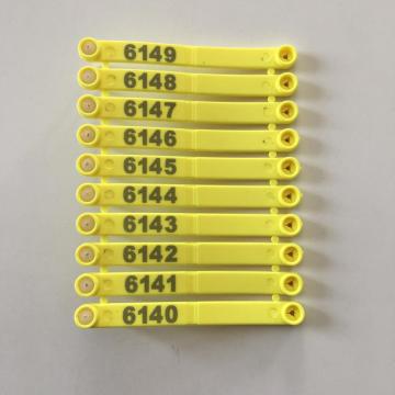 Yellow poultry wing tag chick tag