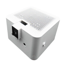 Spindle impeller plastic mold