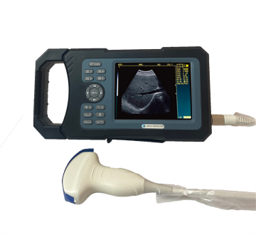 Cheap Veterinary Ultrasound Scanner Ultrasound Machine