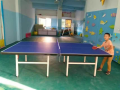 Tavolo da ping pong singolo pieghevole