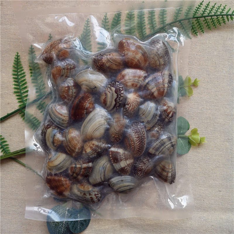 Dostawca owoców morza Live Frozen Short Neked Clam ze skorupą