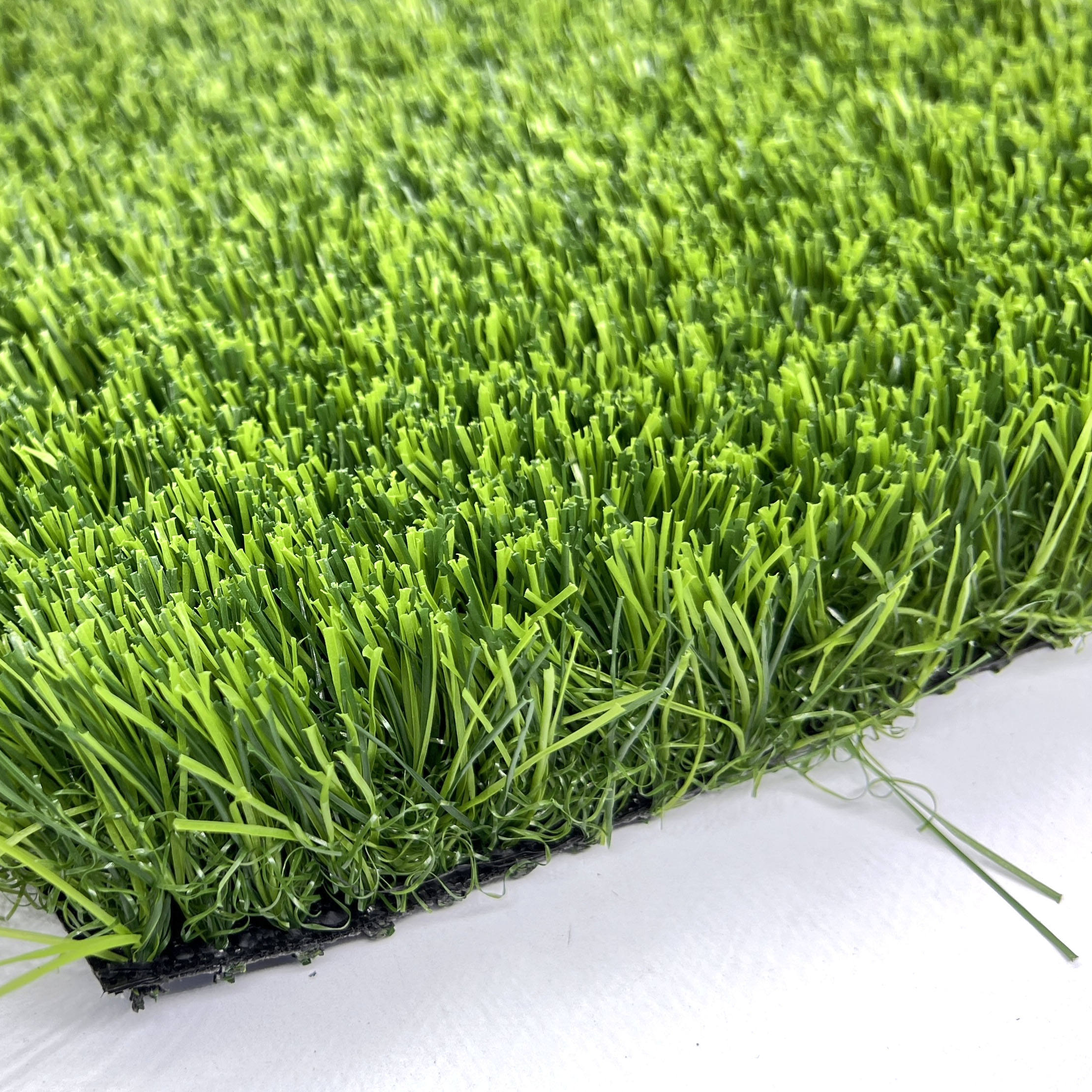 H69f5086bd6e1483587b0a986796a09df8 H69f5086bd6e1483587b0a986796a09df8