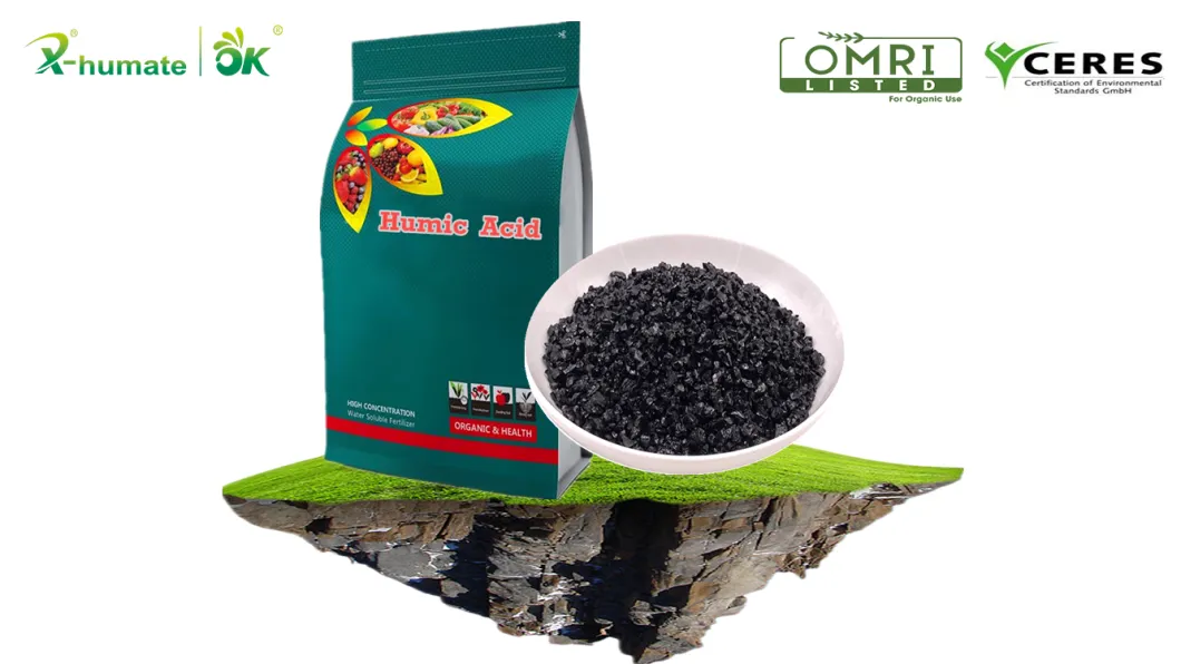 60% Humic Potassium Organic Fertilizer Soluble Humic Acid Flakes High Grade Leonardite/Lignite