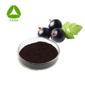 Polvo de extracto de grosella negra de fruta orgánica natural 10: 1