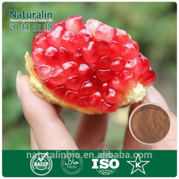 pomegranate peel extract,pomegranate bark extract powder,pomegranate hull extract