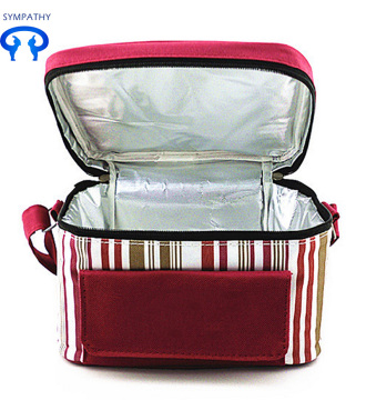 A carry-on lunch bag with a lunch bag