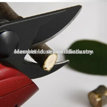 Electric extendable tree pruner