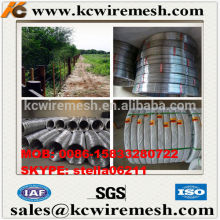 Here!!!!!! KangChen Vineyard Wire 1.80mm Galvanized Steel Wire For Grape Trellis