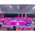 Tappetino professionale per campo da ping pong indoor approvato ITTF