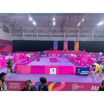 Tikar Lapangan Tenis Meja Profesional Dalam Ruangan Disetujui ITTF