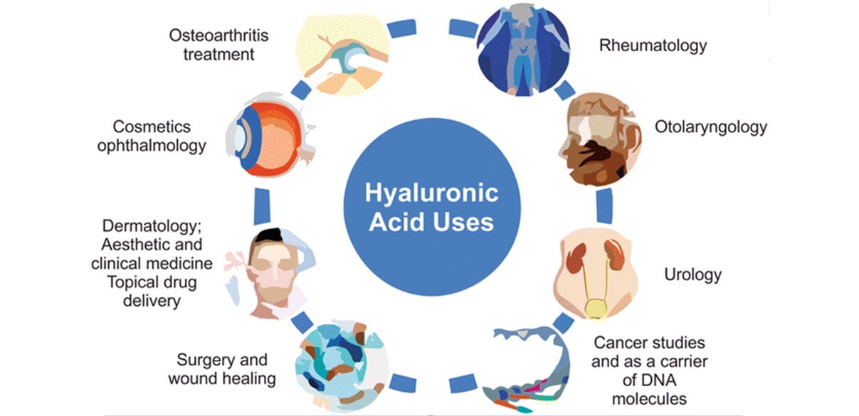 Hyaluronic Acid 1