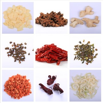 spices and herbs (Garlic Powder)