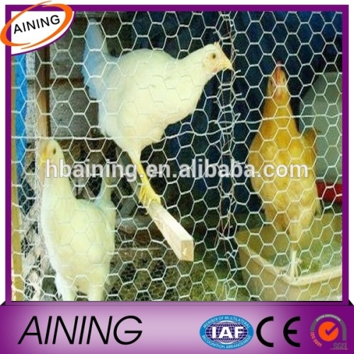 Galvanized welded wire chicken cage