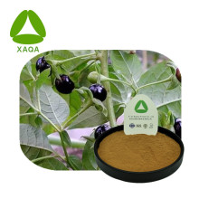 Atropa Belladonna Extrakt Hyoscyamin 1% Pulver