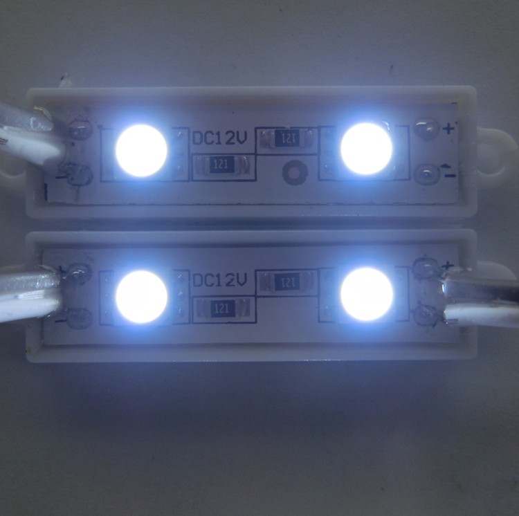 5050 SMD Waterproof 2 LEDs LED Module