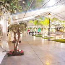 COSCO Outdoor Aluminum Wedding Party Marquees Tents with Clear Roof