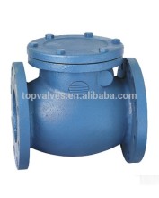 Ductile iron swing check valve