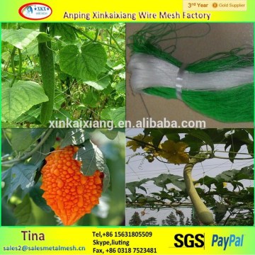 High performance PE plastic climbing net, climbing plant support net