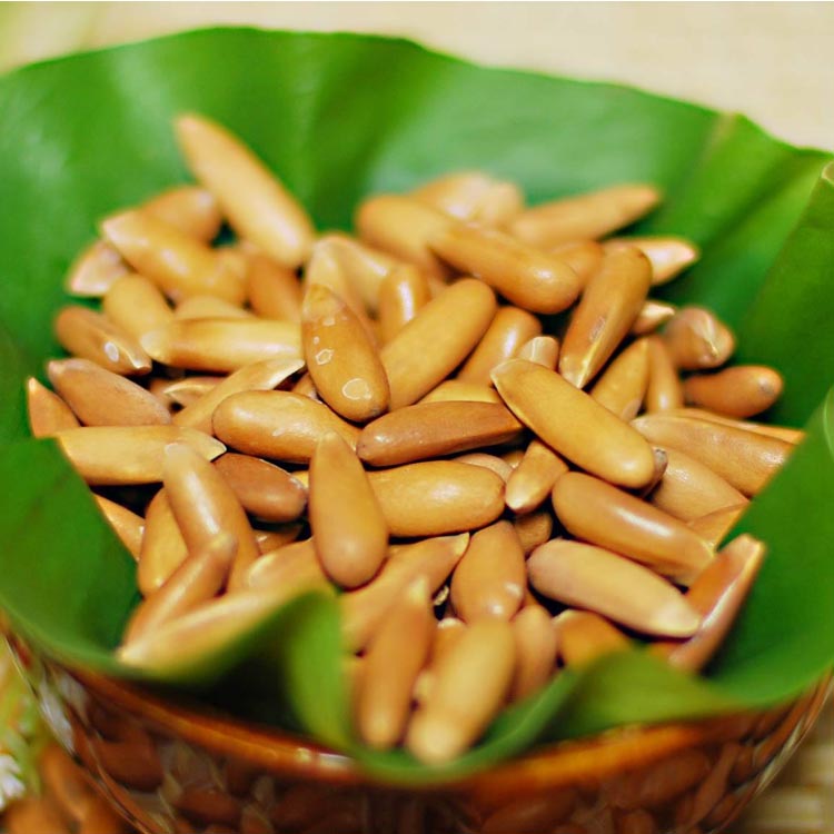 High Quality sweet taste natural pine nuts prices /pine kernel