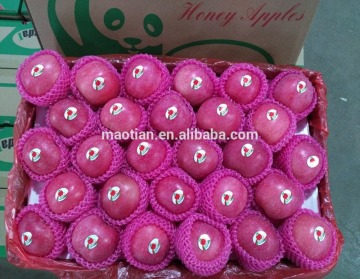 China Fresh Apple from Yantai small sizes