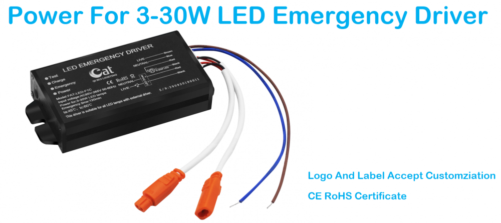 Fuente de alimentación de emergencia LED DC 20-120V CE