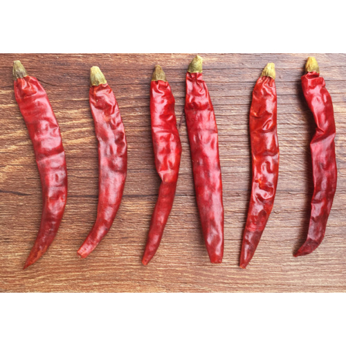 Trockener Chaotian Chili mit roter Farbe