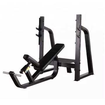 Olimpiyat İncine Bench Press