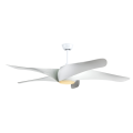 5-Blades Decorative Ceiling Fan with LED
