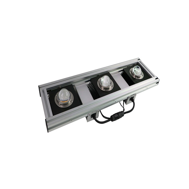 LED Grow light for vegetable